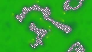 reaction diffusion experiment pr test 08 prs 464   crowding dots