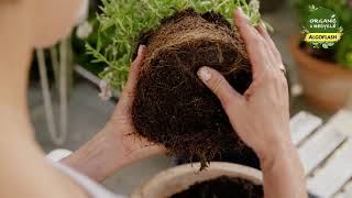 Algoflash Organic Recyclé Terreau Universel