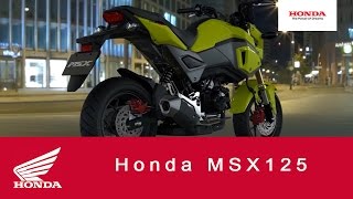 2016 MSX125 | 125cc Motorcycle | Honda