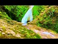 Relaxing Waterfall Sounds &amp; Music 🌿 Deep Sleep, Stress Relief &amp; Meditation (1 Hour)