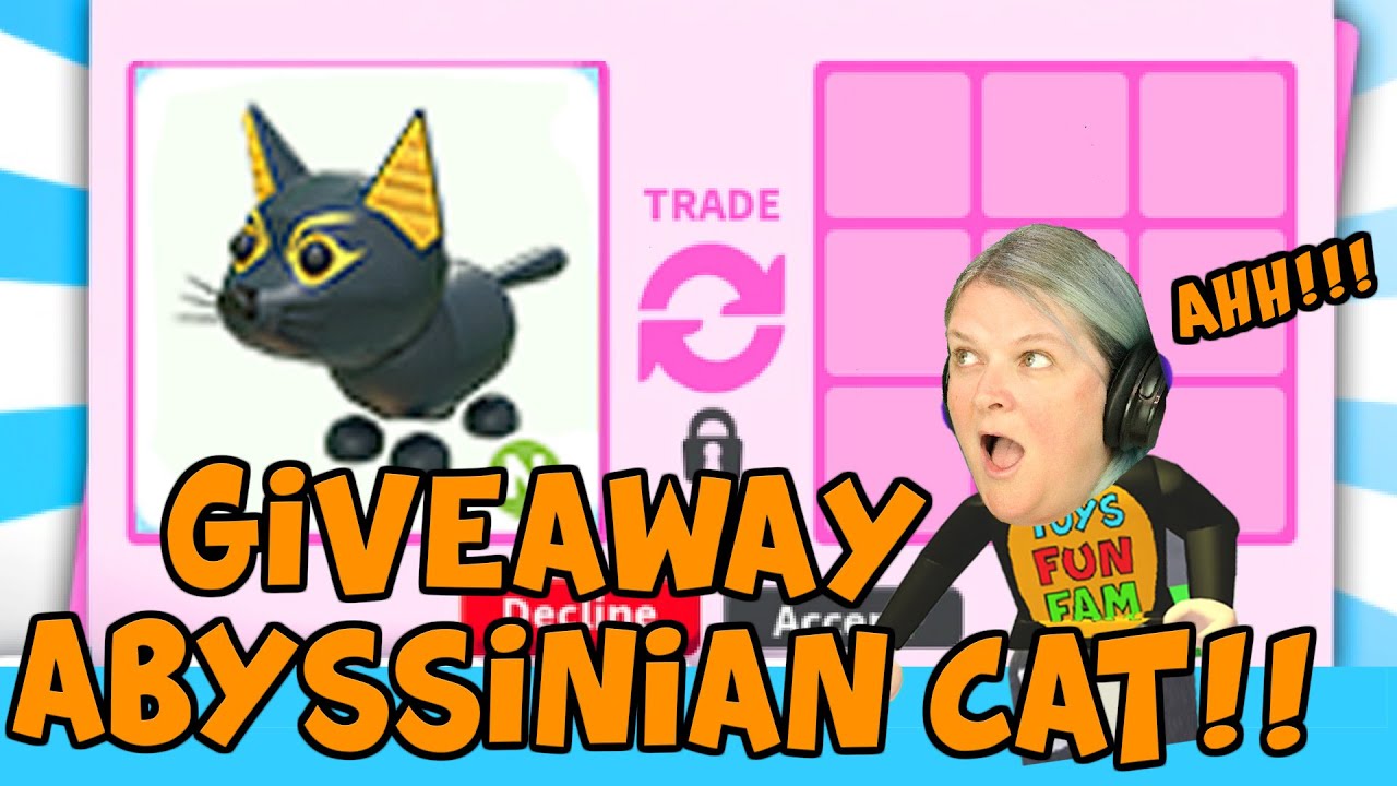 🐈 ABYSSINIAN CAT GIVEAWAY🐈Adopt Me! (LIVE) YouTube