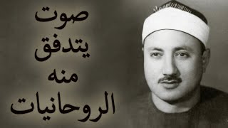 كل آية بصوت هذا القارئ تشعرك أنّ القرآن يُخاطبك أنت شخصيًا 🌟 | Personal Quran Message screenshot 3