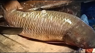 Saddam All Fish Cutting Skills Big Snapper Fish Cutting Skills In Fish Market