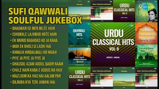 रूहानी कव्वाली का जादुई सफर | Habib Painter Qawwal Songs | Bhagwan Isi Men Milte Hain