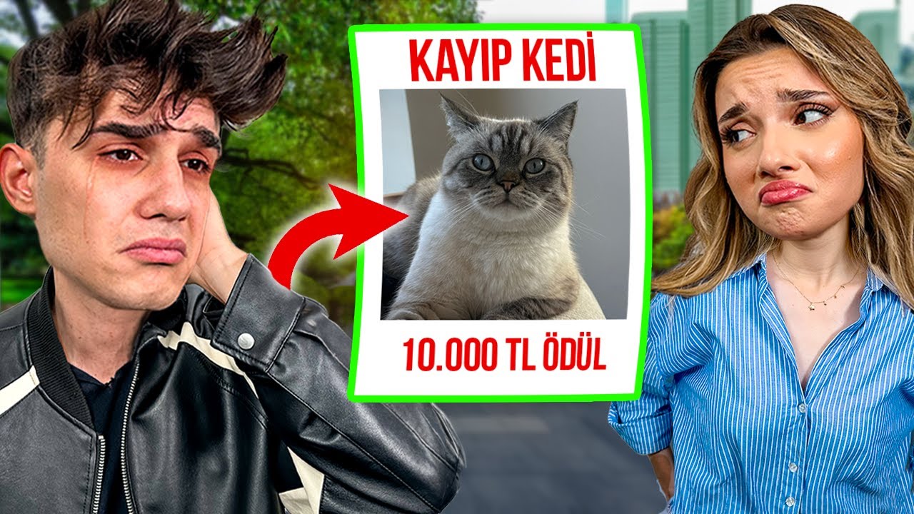KEDİM KAYBOLDU ! Bulana 10.000 TL Ödül ( Dolandırıldım ) Ahmet Can Dündar Sıla Dündar
