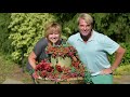Cottage Farms Red Hot Rio Sedum Tile on QVC Cottage Farms Red Hot Rio Sedum Tile on QVC