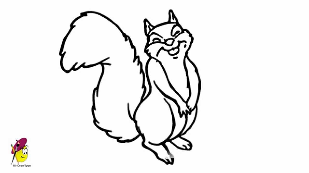 Funny Squirrel - Easy Drawing - How to draw a Squirrel - YouTube