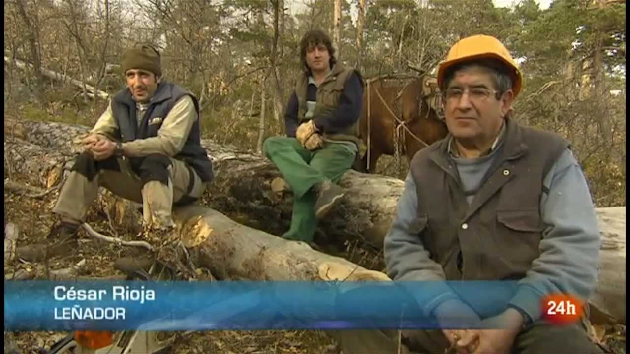 EL BOSQUE HABITADO YouTube