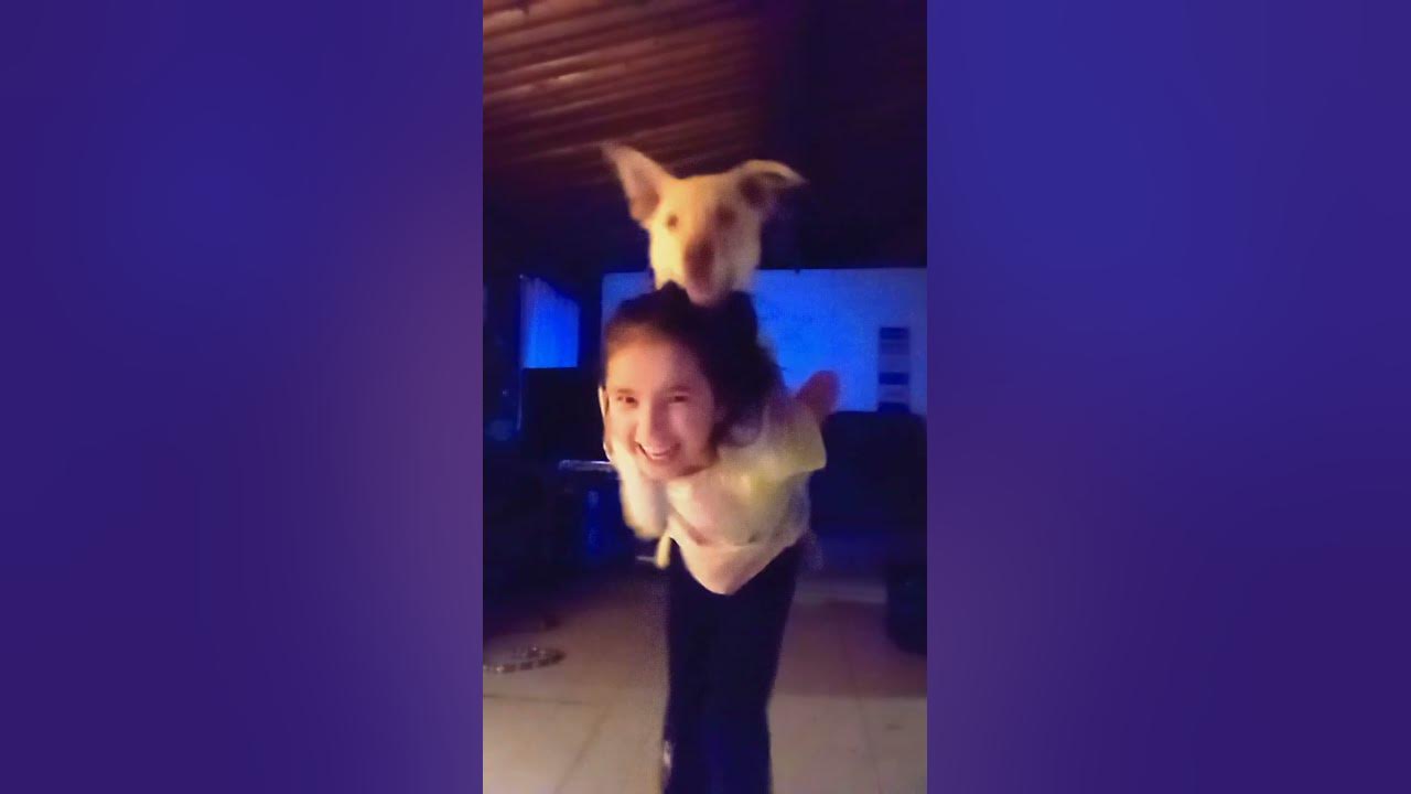 do-you-give-your-dog-piggy-back-rides-youtube