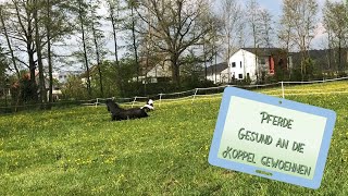 Richtig Anweiden Schritt Für Schritt Anleitung Tutorial