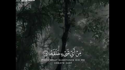 قتل الإنسان ما أكفره-القارئ سورة{عبس} - طارق محمد