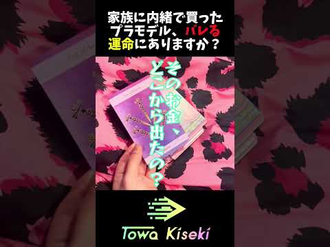 【タロット占い】家族に内緒で買ったプラモデル、バレる運命にありますか？【ガノタロット】