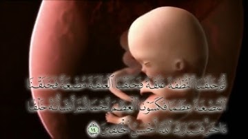 مراحل خلق الانسان - سورة المؤمنون - الأمومة والطفولة - مادة التربية الصحية والنسوية