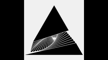 Pair triangles. #creativecoding #openframeworks #プログラミング