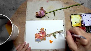 PROCESS: Daily Rose Watercolour Painting DAY 2149 (20210626SAT)