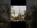 مريول ونبغيه 