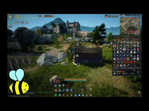 Practice Cannon Training - Black Desert Online