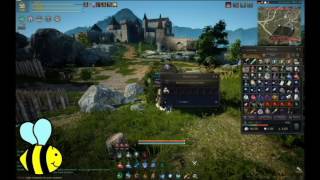 Practice Cannon Training - Black Desert Online