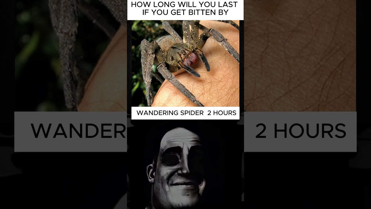 You won't BELIEVE how fast these ANIMALS can kill you😯