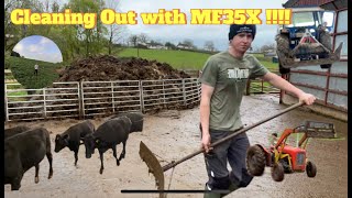 Cleaning Out with MF35X!!!!