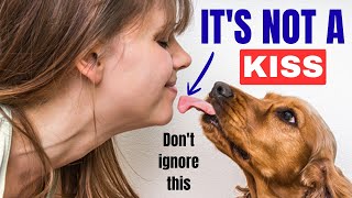 Your Dog Licks You? This Is What It REALLY Means (Most Owners Don't Know)