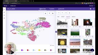Visualize large image or video datasets and understand the latent structures of the data
