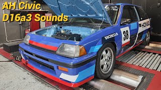 Honed Ah D16A3 Sound