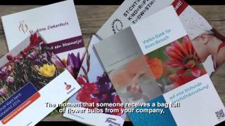 Introduction Baltus Flower Bulbs