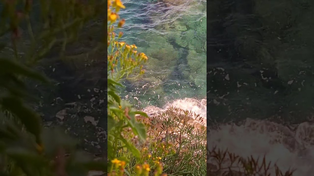 You will hear relaxing and calming sounds of nature. It can help reduce stress and improve your mood