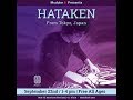 Hataken  modular synthesizer live performance by hataken  workshop  live at modular8