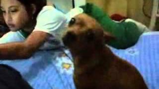 niño mirada dramatica.wmv