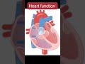 Heart Mechanism