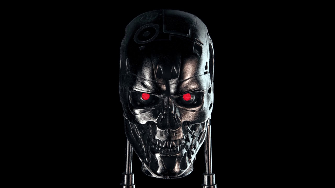 T800 endoskull DAINx2