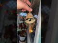Bells (7) 11/27/2025