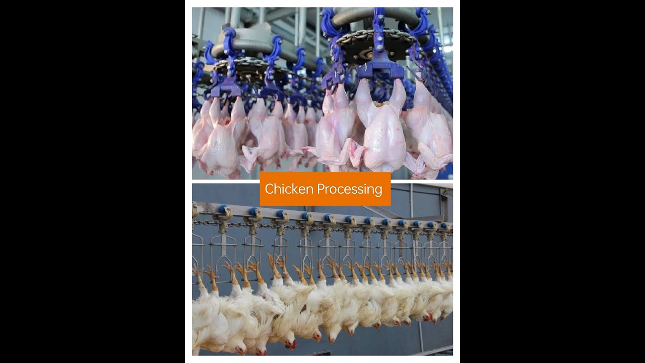 Amazing Chicken Processing Factory With Modern Technology, Ice Cream Maker, Modern Industrial Juicer