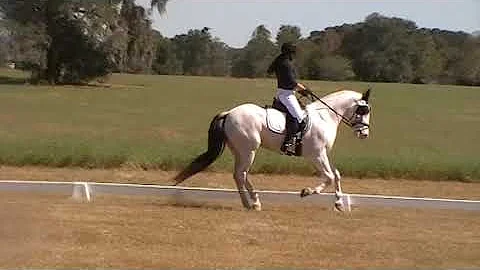Heather and Amina  First Level III