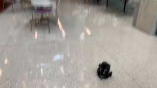 Turtlebot follow waypoint