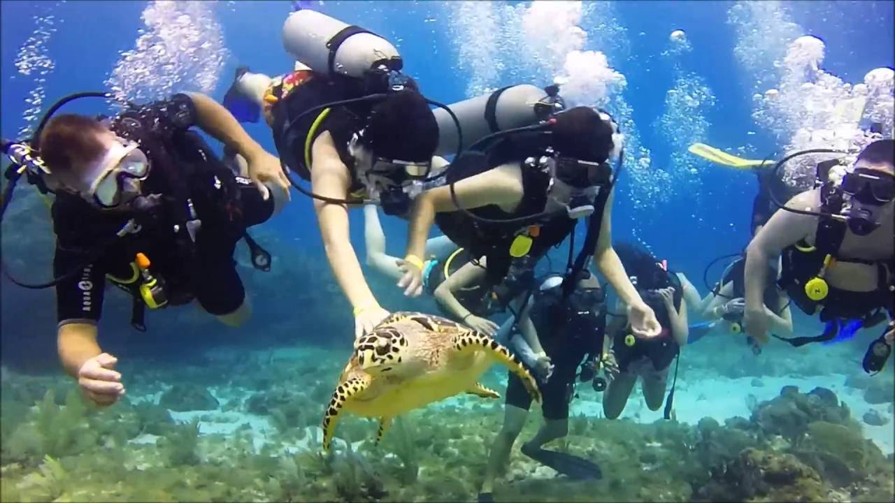 Scuba Diving in Isla Mujeres YouTube