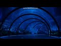 Dubai One Tv Ident 2024 216 Dubai One Tv Ident 2024 216