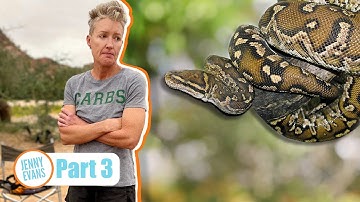 Signs & Surprises: Is That a Python?