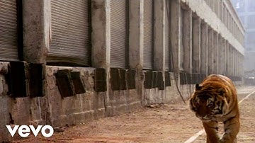 Glass Tiger - Animal Heart