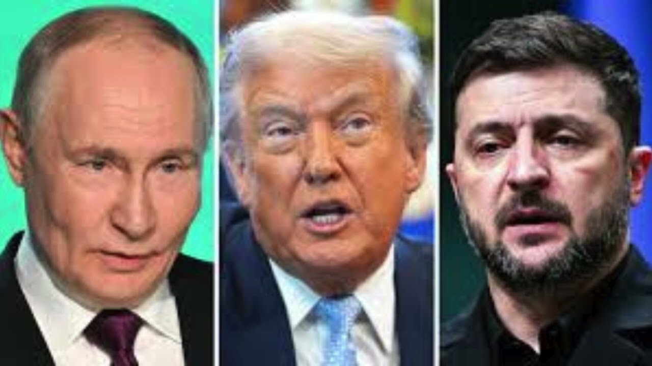 Putin, Zelenskyy respond to Trump's peace plan