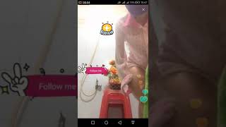 Show hàng trong nhà tắm bigo mới nhất