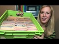 Life Skill File Folders For Special Education Classrooms