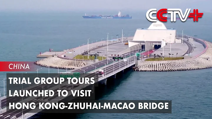 Trial Group Tours Launched to Visit Hong Kong Zhuhai Macao Bridge - DayDayNews