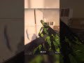 1 v 14 COD Warzone 2 Win