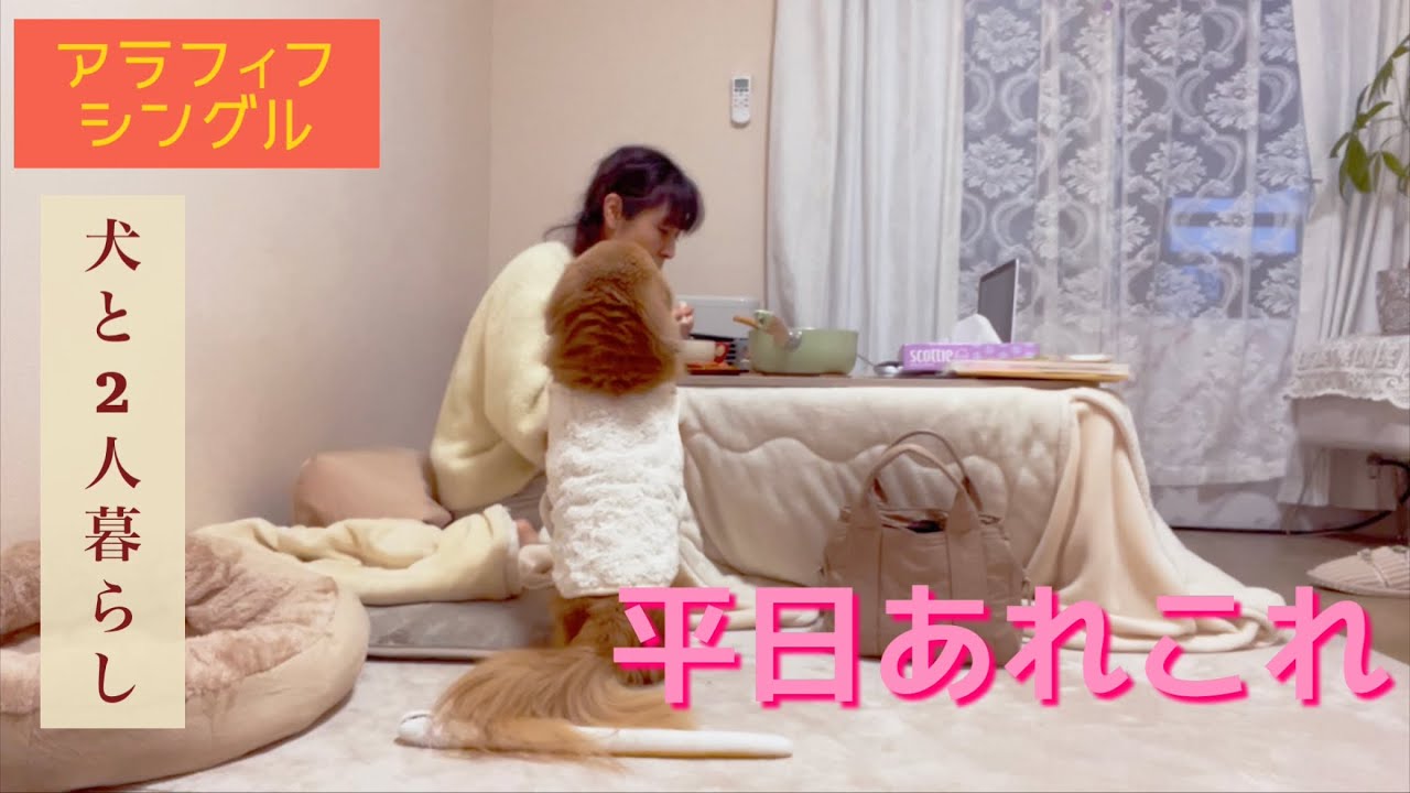 vlog15 平日あれこれ　就活中【アラフィフシングル】【犬と2人暮らし】