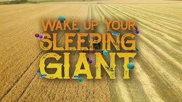 Recycle Valuable Nutrients in Your Crop with Post Harvest Residue Management