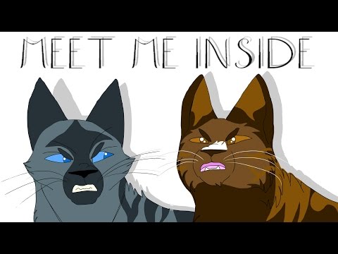 Meet Me Inside - Warrior Cats OC Animatic
