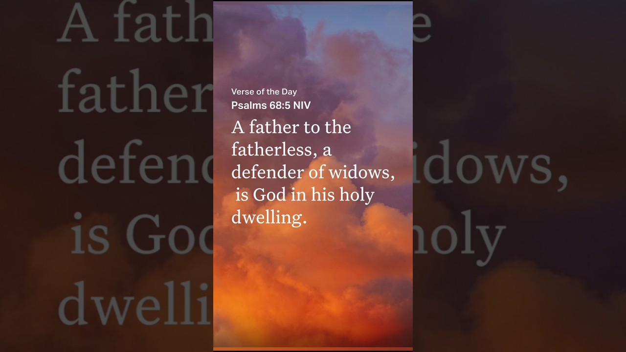 No Regrets By Tpex - YouTube Auto PHP Script